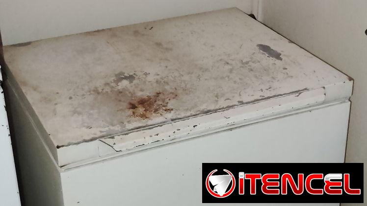Vendo una nevera criolla. — foto 1
