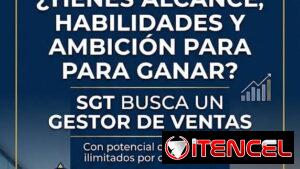 Se Busca Gestor/a de Ventas