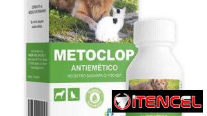 Metocoplamida para perros y gatos