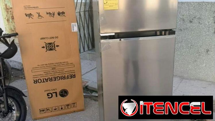 Refrigerador LG de 10.8 pies(inverter congelación seca)