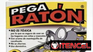 Trampa pega ratón