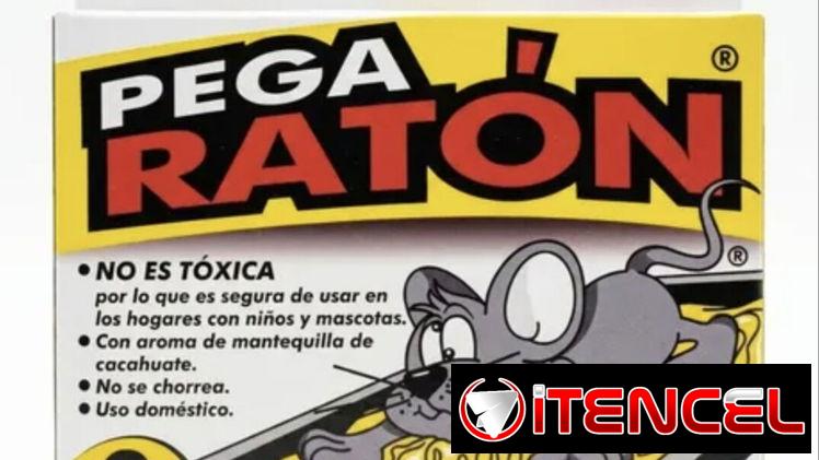 Trampa pega ratón