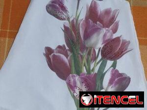 59ac4df7753e943e6e5dbfd161c0710a312d64b21647a7e5f971673dbf6b81fe