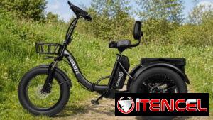 Bicicleta eléctrica de 3 Ruedas