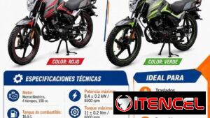 Motor 150CC