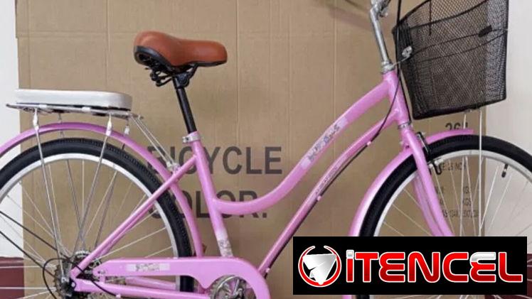 Bicicleta Paseo 26