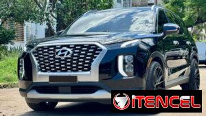 Hiunday PALISADE LIMITED 2022
