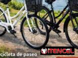 Bicicleta montaña 26 con cambio y freno de disco