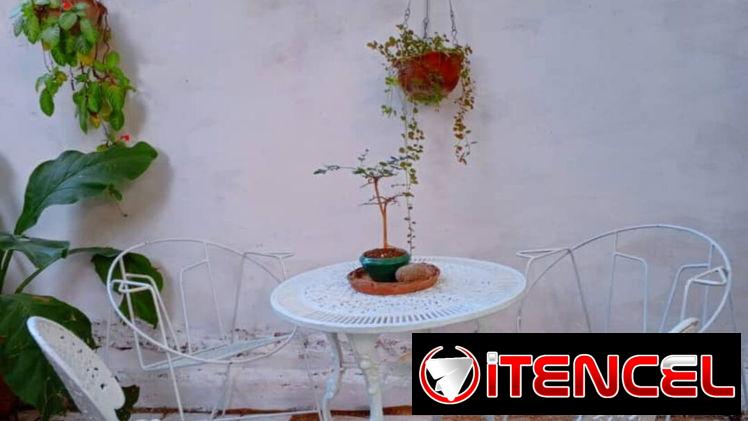 RENTA LINEAL EN CALLE 12, MIRAMAR. ZONA TRANQUILA Y SEGURA — foto 2