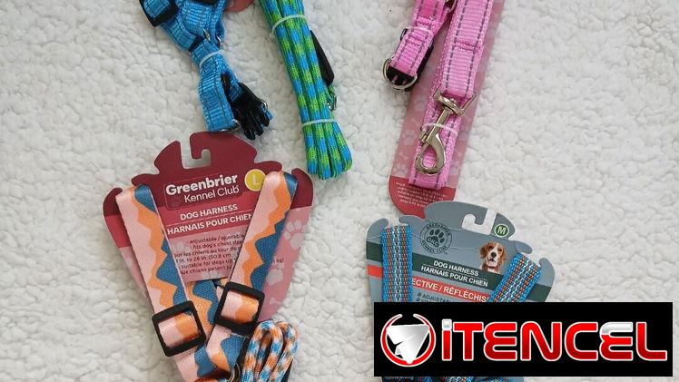 🐕‍🦺🐶🐾PECHERAS Y CORREA PARA SU MASCOTA✅️