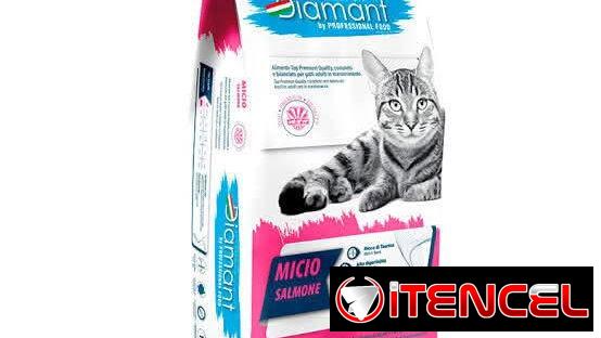 Comida para gatos adultos 15kg