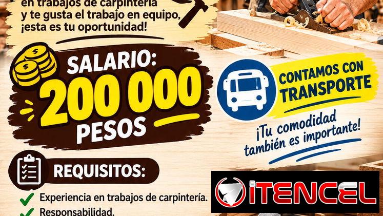 Buscamos carpintero