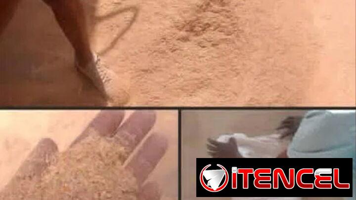 pienso criollo — foto 2