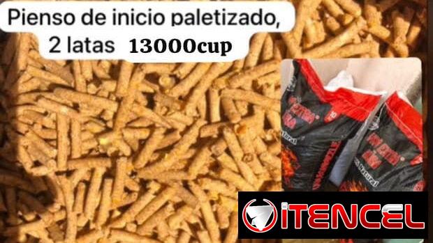 pienso