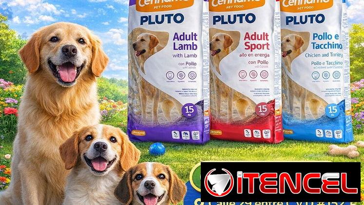 🐶🐱PIENSOS IMPORTADOS PARA PERROS Y GATOS🐶🐱 [MUCHÍSIMAS MARCAS TODOS LOS SABORES]🐾TIENDA DE MASCOTAS [🐶 DOG&CAT 🐱]