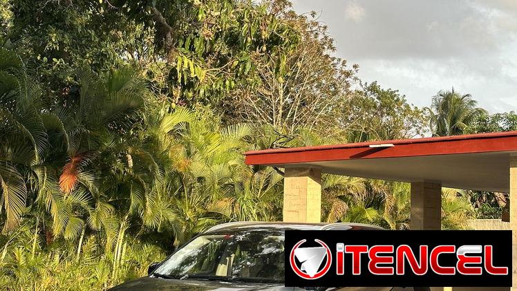 Alquiler auto con chofer, Havana, Cuba. — foto 3