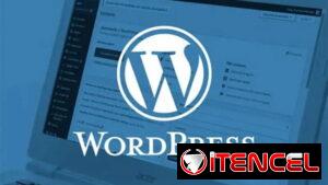 Especialista en WordPress & WooCommerce| Plugins a Medida, Mantenimiento y Soporte Técnico