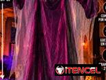🎃 HALLOWEEN 2026 | DISFRACES Y ACCESORIOS PARA NIÑOS Y NIÑAS 👻 🎃👻