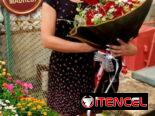 🌹 FLORISTERÍA EN LA HABANA – FLORES Y REGALOS A DOMICILIO