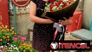 🌹 FLORISTERÍA EN LA HABANA – FLORES Y REGALOS A DOMICILIO