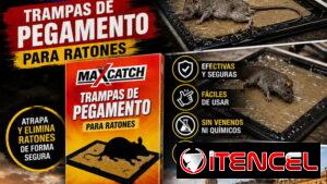 Trampas para ratones de pegamento 100%efectivas