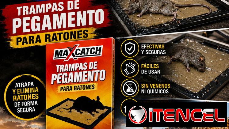 Trampas para ratones de pegamento 100%efectivas