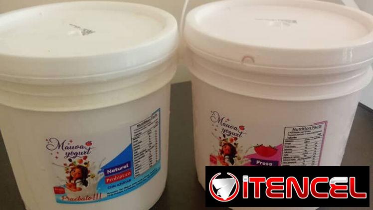 YOGURT PROBIÓTICO DE CUAGULO. — foto 1