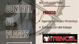 *Fumigación Profesional Eficacia y Garantía