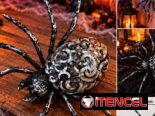 HALLOWEEN 🎃 ¡La magia de HALLOWEEN 🎃 llegó!