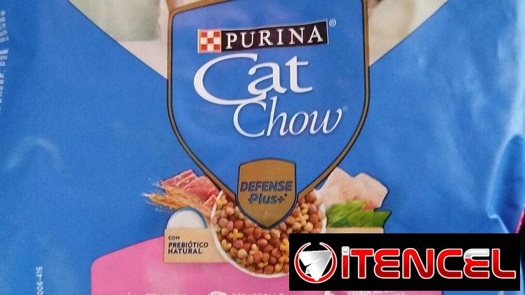 Comida para gatos