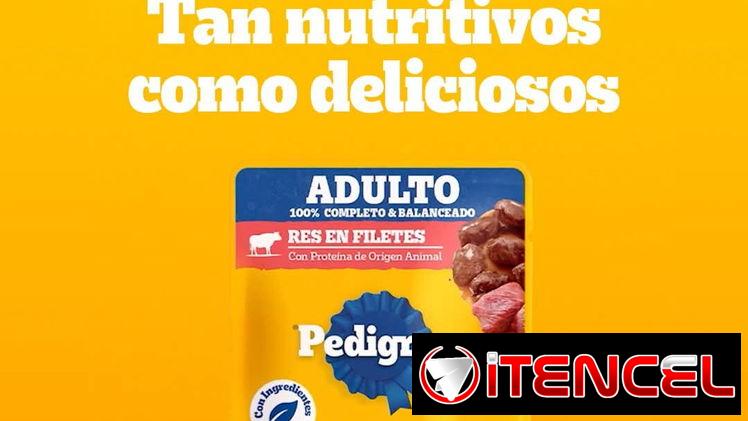 PEDIGREE® SOBRE – RES EN FILETES 🥩
