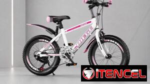 Bicicleta Juvenil 24” P0709-AV004