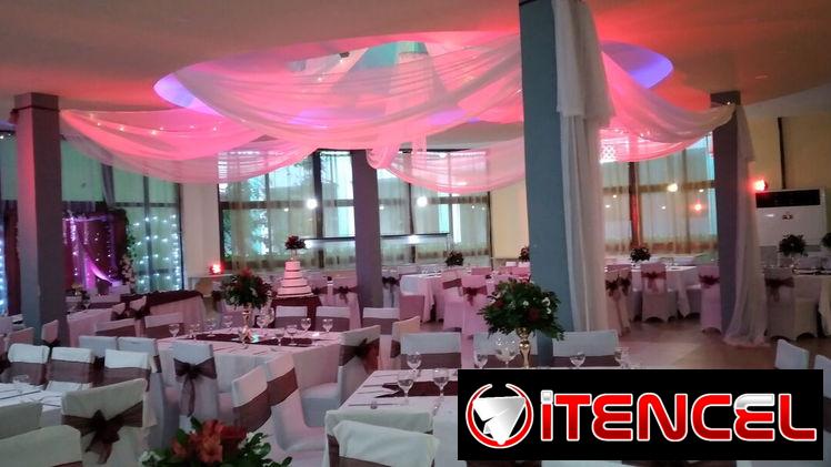 Te gustaria iluminar con tu color preferido tu decoración?