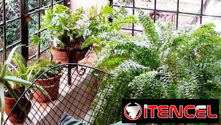 SE RENTA LINEAL AMPLIO APARTAMENTO UBICADO EN MIRAMAR, EN CALLE 10, CON GARAJE — foto 1