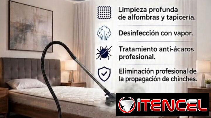 Limpieza y desmanchado en Colchones!