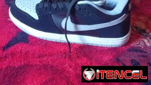 Nike dunk