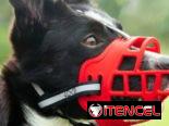 Bozal para tu mascota