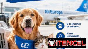 ✈️🐾 Buscamos personas que viajen a España con Air Europa