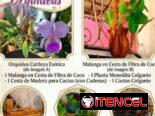 Combos para el Jardín. 🌿 Él también lo merece.