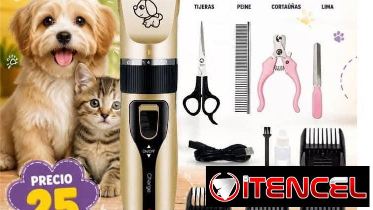 🐶🐱✨ ¡PELUQUERÍA DE MASCOTAS EN CASA! ✨🐱🐶 ¿Quieres que tu peludito luzca limpio, bonito y bien arregladito? 🥰✂️🐾 Te
