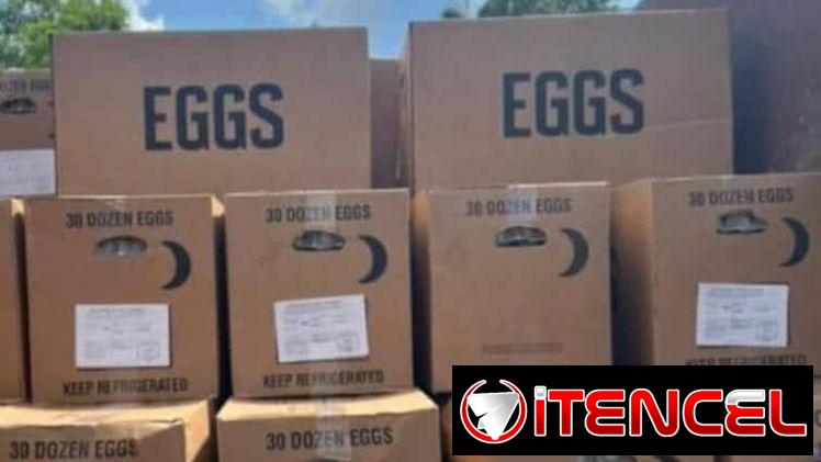 Venta de contenedores