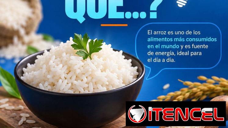 Sora Market tu proveedor estrella 🌟 en HOLGUÍN Y MUNICIPIOS — foto 4