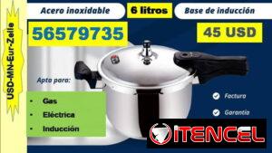 FG-OLLA de PRESION 6L ACERO INOX... 56579735../(USD-MN-Eur-Zelle)/Envio Gratis// Garantía 6m