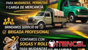 Camión grande para mudanza y carga de mercancia