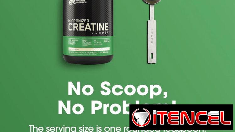 CREATINA (ON) 300GR-60SERV