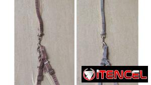 Cadena con collar de Adiestramiento