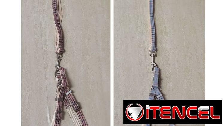 Cadena con collar de Adiestramiento