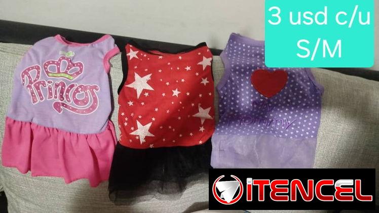 Ropa de perrita — foto 2