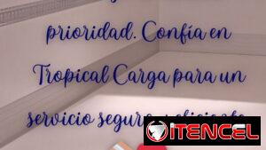 Servicio de transpotarcion