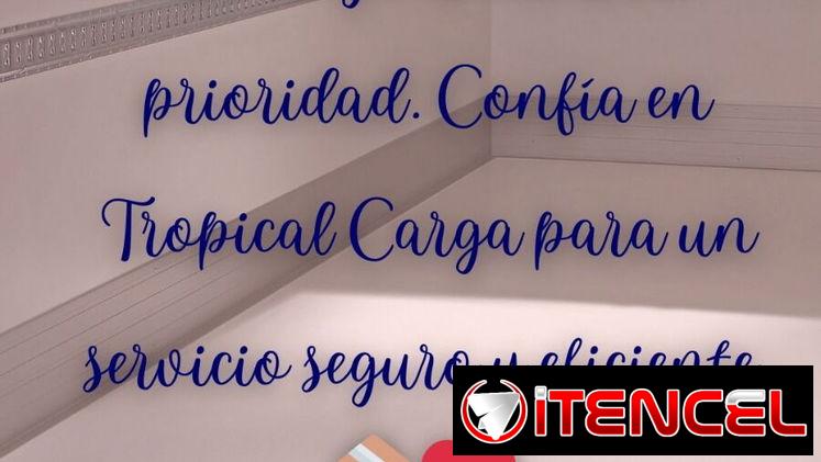Servicio de transpotarcion